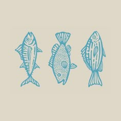 three fish are shown in blue ink on a light gray background, and one is drawn with