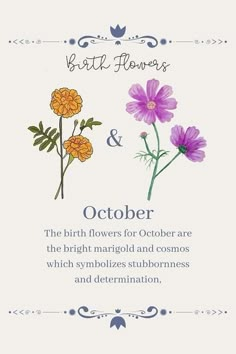 a card with flowers on it that says birth flowers and october the birth flowers for october are the bright marjold and cosmos which symbolizes stubbornness and determination