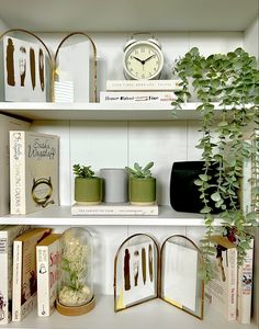 shelves with books, plants and clocks on them