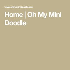 the words home / oh my mini doodle are in white on a tan background