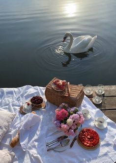 a swan is swimming in the water next to food and drinks on a picnic blanket