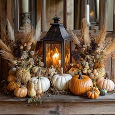 pumpkins and gourds are arranged in front of a lantern on a table