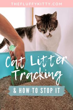 a cat playing in a litter box with the words cat litter tracking and how to stop it