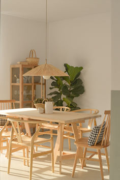 a dining room table and chairs with an umbrella over them in front of a potted plant