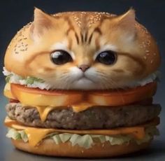 a cat is sitting on top of a cheeseburger that has been made into a hamburger