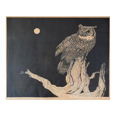 an owl sitting on top of a tree branch in front of a full moon and black background