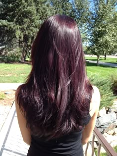 Ref Hair Color Red, Purple Hair Color On Black Hair, Wine Purple Hair Color, Plum Berry Hair, Dark Purple Layered Hair, Deep Plum Red Hair Color, Black Hair Colours, Violet Cherry Hair