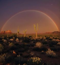 two rainbows in the sky over a desert with cacti and cactus trees