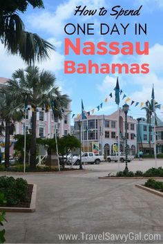 the entrance to an amusement park with palm trees and flags flying in the wind, text overlay reads how to spend one day in nasau bananas