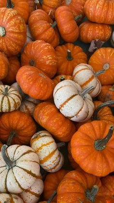 many orange and white pumpkins piled on top of each other