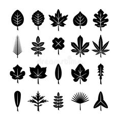 Set icons of leaf vector illustration Leaf Vector Illustration, Leave Logo, Wine Leaves, Leaf Vector, Leaf Illustration, Leaves Vector, White Illustration, Nail Patterns, Simple Illustration