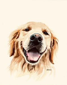 a watercolor painting of a golden retriever dog with its tongue out and it's mouth open