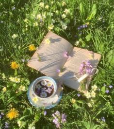 an open book sitting on top of a lush green field filled with wildflowers