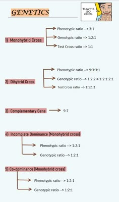 a diagram showing the different types of homootictic and gentific cross