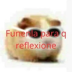 an owl with glasses on its face and the words funeria para q reflexione