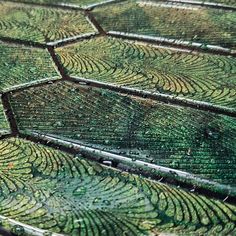 an image of green tiles with water drops on them