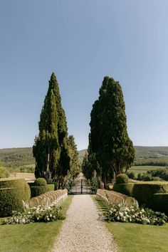 Italy Area Weddings | Borgo Stomennano | Ajisa & Michael