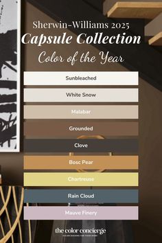 sherylin williams's capsule collection colors of the year