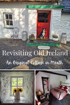 dog outside a cottage and in a bedroom; vase in window Irish Cottages Interior, Irish Stone Cottage, Irish Decor Home Interior Design Ireland, Irish Cottage Kitchen, Old Irish Cottage Interiors, Ireland Aesthetic Irish Cottage, Refurbished Cottage, Irish Cottage Exterior