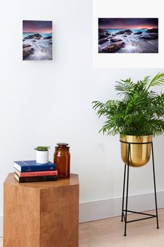 a potted plant sitting on top of a wooden table