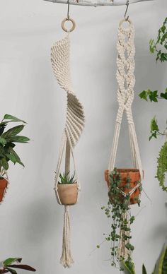 three macrame plant hangers with plants in them on a white wall next to potted plants