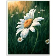 a painting of a white flower with yellow center in the middle and green grass behind it