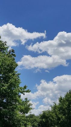 an airplane flying in the blue sky above some trees and bushes on a sunny day