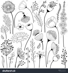 black and white flowers on a white background with clippings for the text,