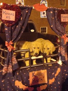 two dogs sitting in the back of a truck decorated with hearts and ribbons for valentine's day