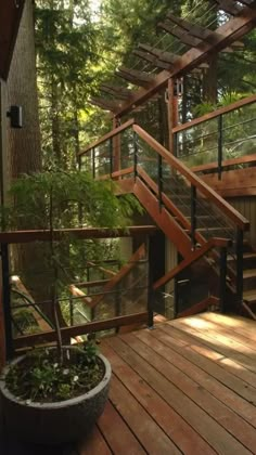 a wooden deck with stairs leading up to a small tree in a potted planter