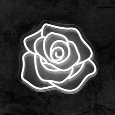 a black and white photo of a rose in the dark with its light shining on it