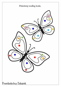 two butterflies with different colors on them