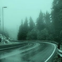 an empty road surrounded by trees in the fog