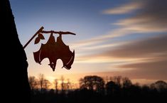 a bat hangs upside down on a tree branch at sunset with the sun in the background