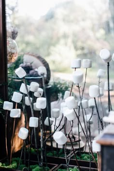 some white marshmallows are in front of a window