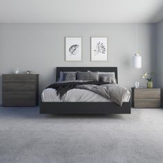 a bedroom with gray walls and carpeted flooring, two framed pictures above the bed