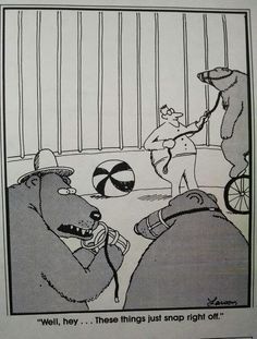 an old comic strip about bears playing with a ball