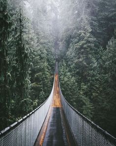 a suspension bridge in the middle of a forest