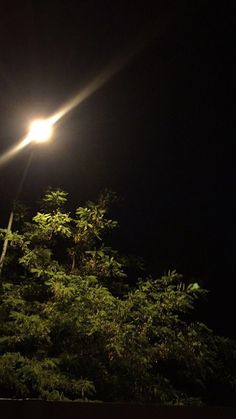 a street light shines brightly in the dark night sky above some trees and bushes