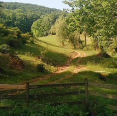 a dirt road in the middle of a lush green field