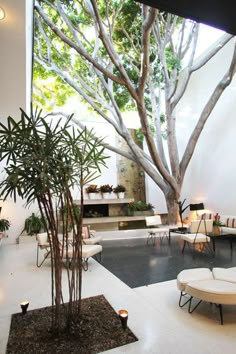 a living room filled with furniture and a large tree in the middle of the room