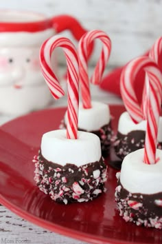 candy canes and marshmallows are arranged on a red plate