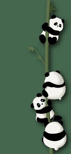 three panda bears are climbing up a bamboo plant