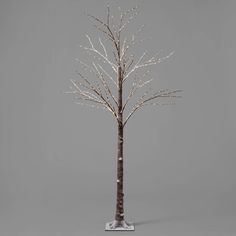 a small tree with white lights on it's branches in a silver vase against a gray background