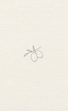 an apple drawn on top of a piece of white paper with a line drawing of the fruit