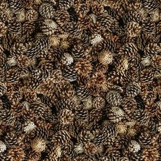 an image of pine cones that are brown and white in the middle of it's pattern