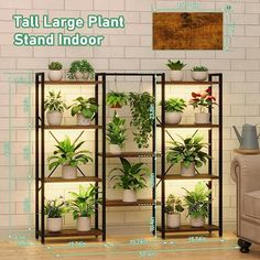 the tall plant stand is filled with potted plants and has four shelves on each side