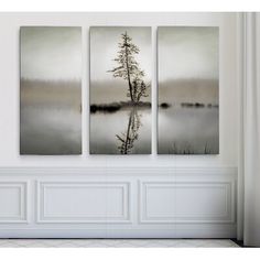 three paintings hanging on the wall next to each other in a room with white walls