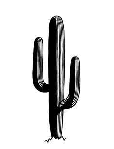 a black and white drawing of a cactus