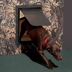 a brown dog with its head in the open door of a wall mounted tv screen